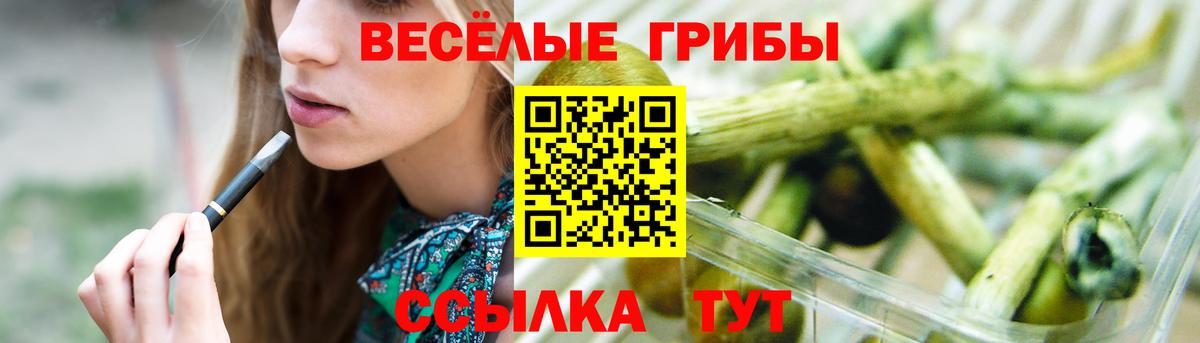 Галлюциногенные грибы мицелий  Вход с VPN  Уссурийск 